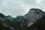 2014-07-05_Laengental-N-Hochweg (342). JPG